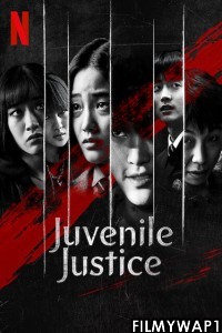 Juvenile Justice (2022) Hindi Web Series