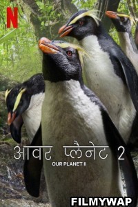 Our Planet (2023) Season 2 Hindi Web Series